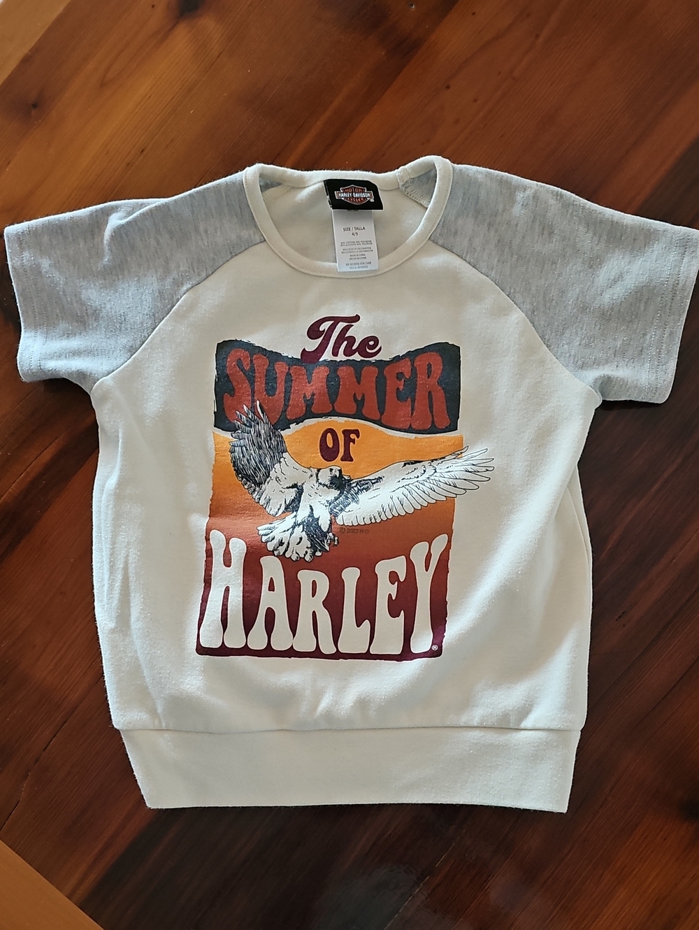 Harley-Davidson White & Gray Kids Tee with Retro Eagle Graphic